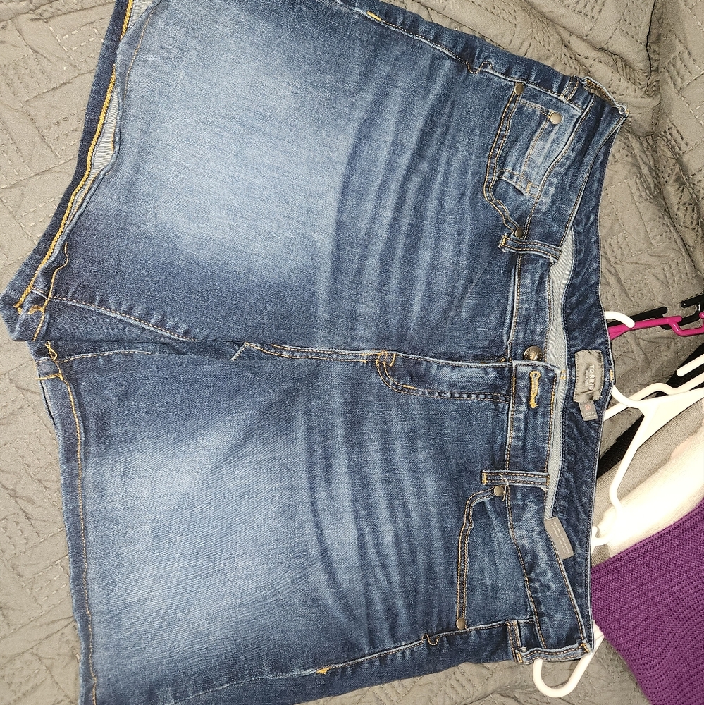 Torrid shorts